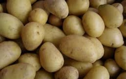 Venta ilegal de patatas en una furgoneta