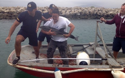 El Departamento de Medio Ambiente de Gibraltar rescata a una cría de delfín listado