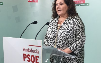 El PSOE exige a PP y Podemos que abandonen ya la farsa en torno a los cursos de formación donde no hay menoscabo de fondos