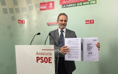 El PSOE aprobará un plan específico de empleo para la provincia y cambiará las bases del Reindus si gobierna tras las elecciones generales