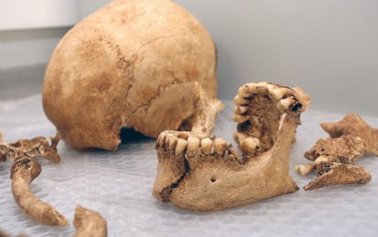 Los huesos encontrados en el antiguo Hospital de St Bernard podrían remontarse a los siglos XVI a XVIII