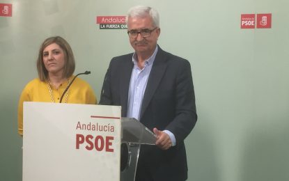 El PSOE de Cádiz pone en marcha la maquinaria para afrontar el 26-J con un proyecto y un equipo que sale a ganar por quinta vez en la provincia