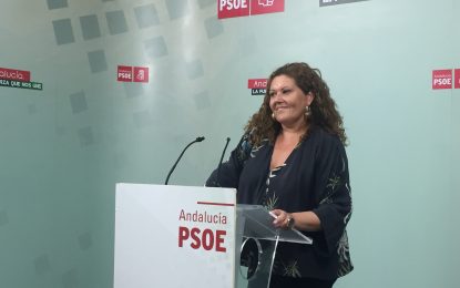 Para el PSOE “la inacción del PP y las críticas no evitan que la Junta aprueba el Plan de Vivienda y reforme el Impuesto de Sucesiones”