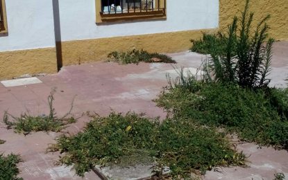 Vecinos de Mondejar, tras la visita del alcalde, lamentan que sus calles sigan sucias