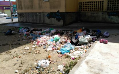 Vecinos de Las Palomeras se quejan de la acumulación de basuras