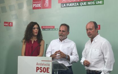 El PSOE de Cádiz reclama al Gobierno en funciones demandas necesarias de la provincia como el plan de empleo, la Algeciras-Bobadilla y Navantia
