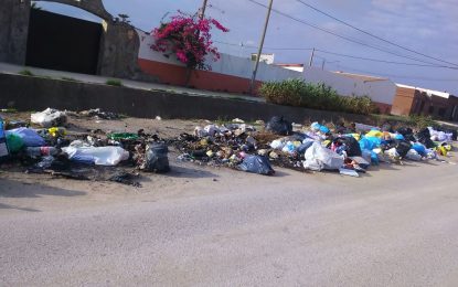 Los socialistas denuncian el abandono del Zabal y las plagas de ratas y montañas de basura frente a las viviendas