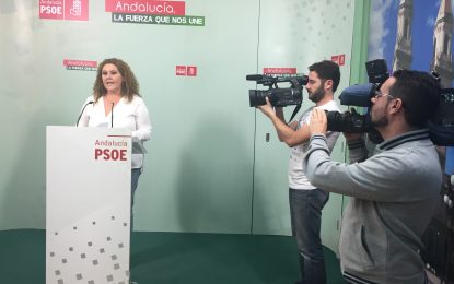 El PSOE defiende la sanidad pública frente a quienes pretenden hacer caja con “un patrimonio de todos que vamos a salvaguardar”