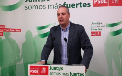 El PSOE, satisfecho con los autos del TSJA sobre Mancomunidad, espera ahora pronta resolución
