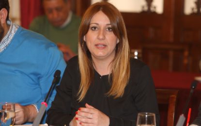 El Pleno respalda el Plan de Acción del Gobierno de la Diputación para la Residencia de La Línea