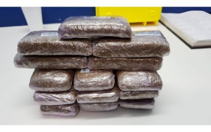 El Servicio de Aduanas detiene a un hombre procedente de Tánger con más de dos kilos de resina de cannabis