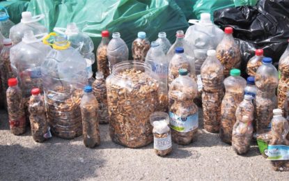 Casi 8 toneladas de basuras y miles de colillas, balance de la campaña de recogida organizadas con motivo del “Día Mundial de la Limpieza del Planeta”