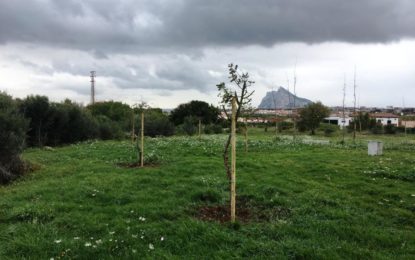 Parques y Jardines solicita más de 4.000 especies arbóreas acogiéndose al nuevo Plan de Arbolado Urbano de Diputación