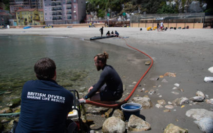 DEHCC realiza con éxito un curso de rescate de mamíferos marinos en Catalan Bay, en Gibraltar