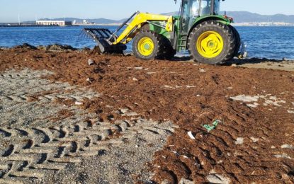 Playas retira algas y restos acumulados en el litoral por los últimos temporales para evitar situaciones insalubres