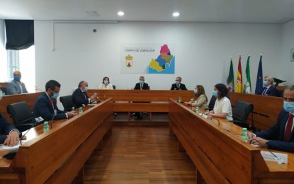 Marlaska presenta el Plan del Campo de Gibraltar 2020-21 al presidente de la Mancomunidad y los alcaldes de la comarca
