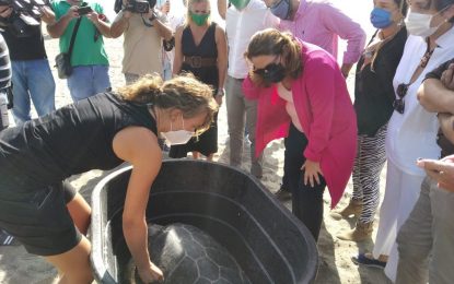 La consejera de Desarrollo Sostenible suelta en La Línea dos tortugas boba recuperadas en el CEGMA del Estrecho