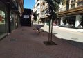 Acometida la plantación de nuevos árboles en la calle San Pablo, incluida en el proyecto de peatonalización del vial