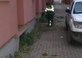 Operarios de Limpieza y de la empresa Urbaser prosiguen con los trabajos de desbroce de malas hierbas en la calle Genal