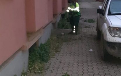 Operarios de Limpieza y de la empresa Urbaser prosiguen con los trabajos de desbroce de malas hierbas en la calle Genal