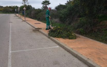 Parques y Jardines desarrolla una campaña de choque en toda la ciudad para el mantenimiento y cuidado de las zonas verdes