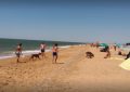 Abierta la licitación para instalar dos chiringuitos de verano en las playas de Levante y Sobrevela