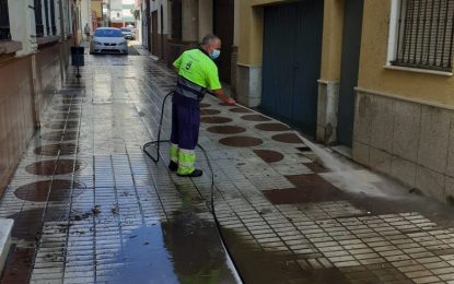 Los trabajos de desinfección de Limpieza se han desarrollado en las zonas de Los Junquillos y San Pedro