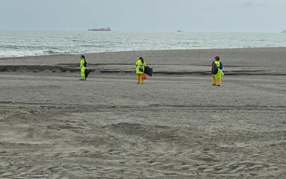 Playas ultima la retirada de pequeñas cantidades de algas acumuladas en las zonas de rebalaje del litoral de Poniente sin que se hayan producido nuevas incidencias