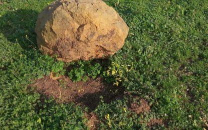 Ecologistas alertan de gran cantidad de piedras levantadas en Sierra Carbonera en La Línea y San Roque