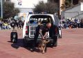 Agentes de la Unidad Canina de la Policía Local participan en una jornada de exhibición en el IES Tolosa
