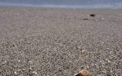 Ecologistas alertan de la llegada a las playas, del ‘clásico’ menos amable del verano, la colilla