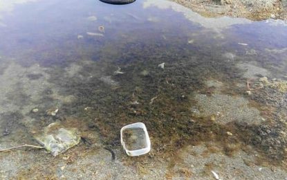 Ecologistas denuncia la presencia de residuos en la desembocadura del Arroyo Cachón de La Línea