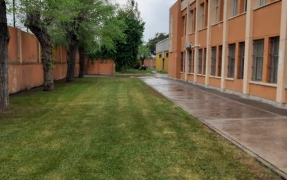 Parques y Jardines planifica una campaña de mantenimiento de zonas verdes en colegios con vistas el inicio del curso escolar
