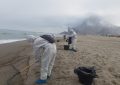 Personal municipal de Playas con el apoyo de operarios del Infoca han realizado hoy labores de limpieza del vertido del “OS35”