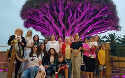 Salud  ilumina el drago centenario de color rosa con motivo del Día Contra el Cáncer de Mama