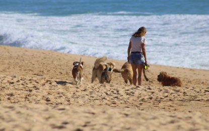 El PSOE se congratula de que La Línea 100×100 rectifique y solicite dos playas caninas