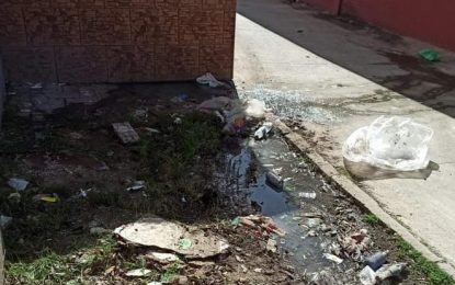 Ecologistas denuncian otro vertido de fecales en La Línea