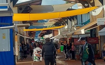 El traslado de los comerciantes al nuevo Mercado de La Concepción podría concretarse pasadas las Navidades