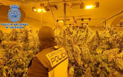 La Policía Nacional desmantela en Los Barrios un cultivo “indoor” de cannabis sativa