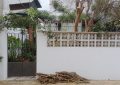 Gómez lamenta la poda “salvaje” de algunos árboles en espacios públicos