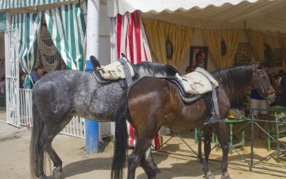 Establecidas las normas para el tránsito de caballos, carruajes y enganches durante la Velada y Fiestas