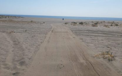 El Ayuntamiento inicia los trabajos de adecuación de las dos playas caninas en Santa Clara y Los Manolos