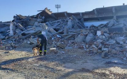 Bomberos realizan prácticas de rescate canino en las obras del estadio