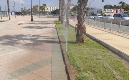 Parques y Jardines denuncia actos de vandalismo en el sistema de riego de la avenida Príncipe de Asturias