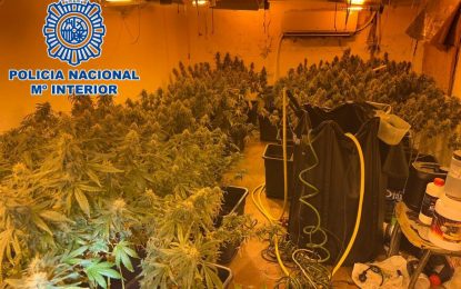 La Policía Nacional desmantela una plantación indoor de cannabis sativa ubicada en una vivienda del barrio Sagrado Corazón