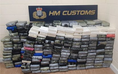 El Servicio de Aduanas en dos alijos históricos se incauta de más de 500kg de cocaína