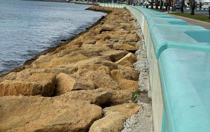 El alcalde avanza con Costas sobre el proyecto de regeneración de la playa de Poniente