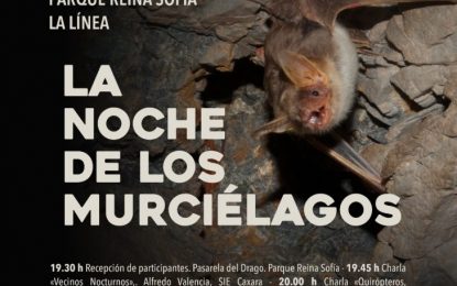 Mañana se llevará a cabo la Noche de los Murciélagos en La Línea