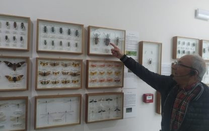 Casi tres mil escolares visitarán con la Oferta Educativa la Exposición Entomológica de Pepe Torres en el Cruz Herrera