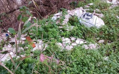 El Ayuntamiento retira un vertido ilegal de escombros y residuos sólidos abandonados en la ribera del río Palmones